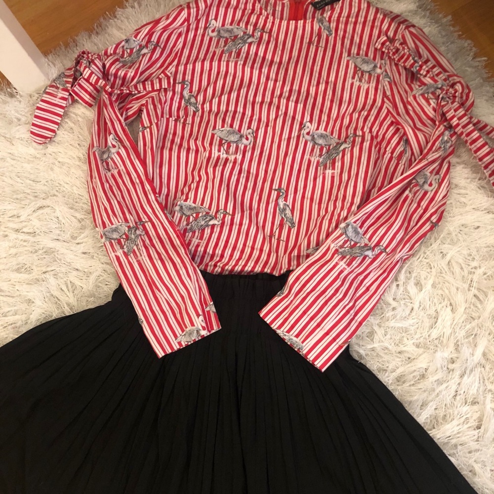 zara top+ skirt